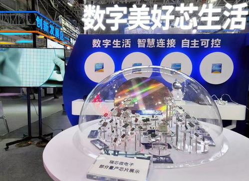 数字美好芯生活 瑞芯微助力数字中国展会的互联网技术服务